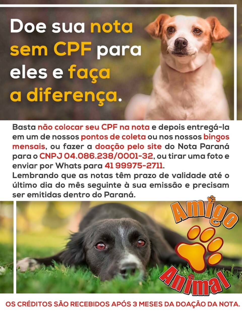 É bem fácil ajudar! Clique na imagem e confira todos os detalhes! A Amigo Animal é uma associação sem fins lucrativos que abriga mais de 1000 cachorros resgatados em Curitiba e região.